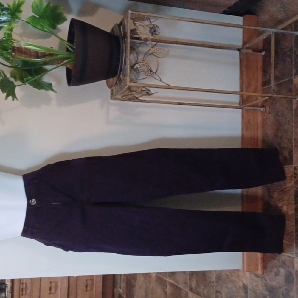 Democracy trousers